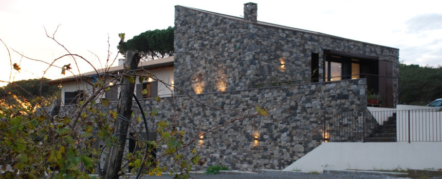 Passeggiata nella vigna