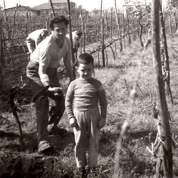 nonno in vigna